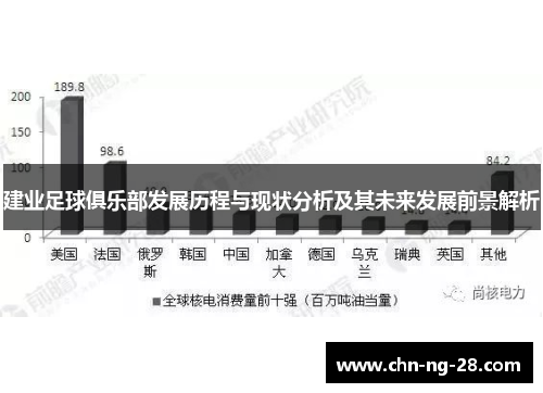 建业足球俱乐部发展历程与现状分析及其未来发展前景解析