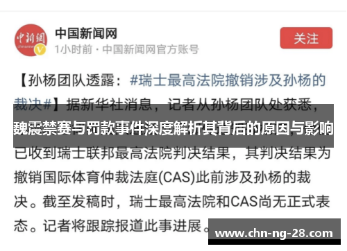 魏震禁赛与罚款事件深度解析其背后的原因与影响