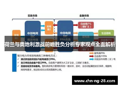 荷兰与奥地利激战前瞻胜负分析专家观点全面解析