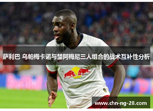 萨利巴 乌帕梅卡诺与楚阿梅尼三人组合的战术互补性分析