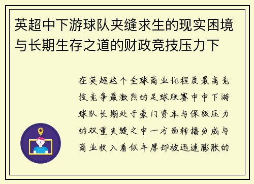 英超中下游球队夹缝求生的现实困境与长期生存之道的财政竞技压力下